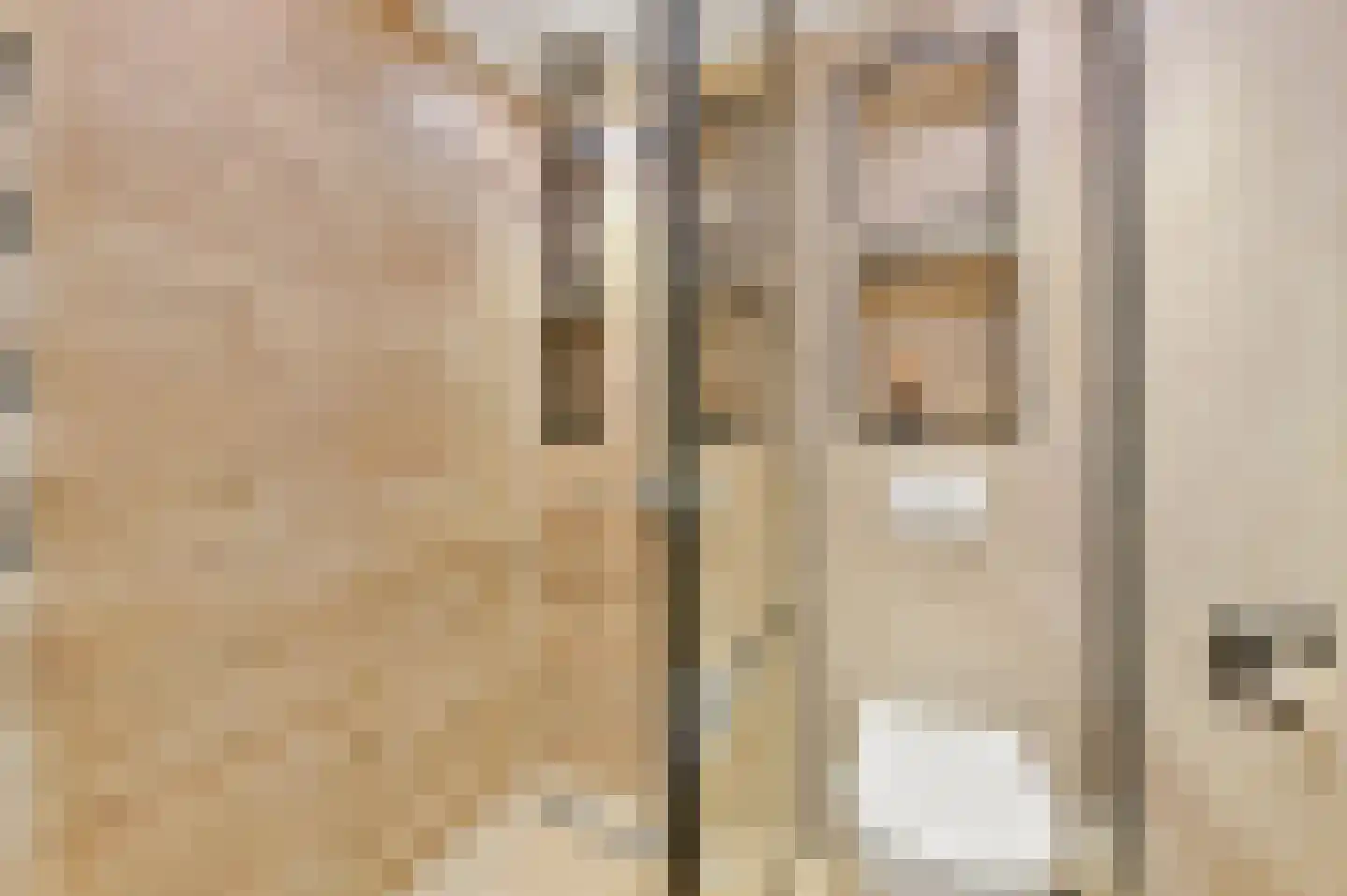 Okkernootstraat 86 Den Haag thumbnail 9