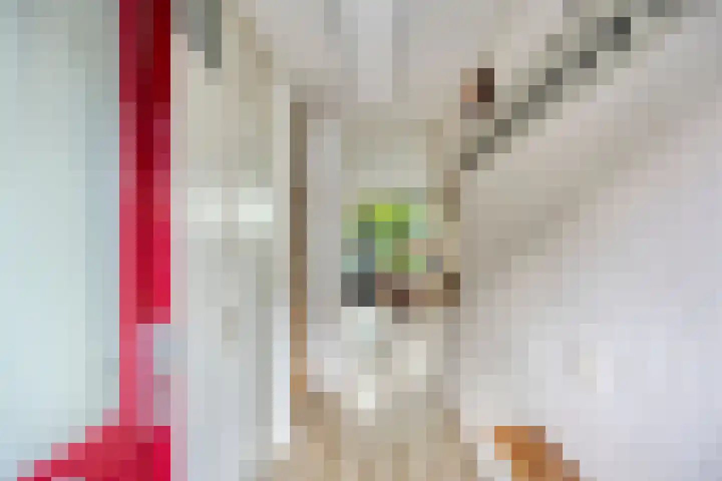 Okkersheul 26 Hoogvliet Rotterdam thumbnail 11