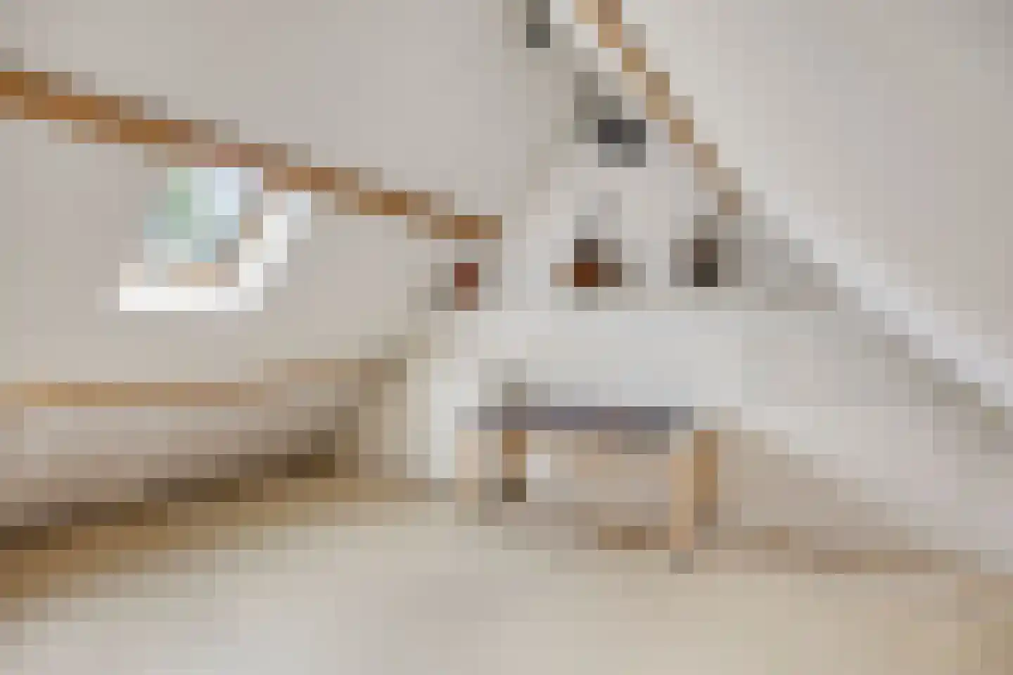 Okkersheul 26 Hoogvliet Rotterdam thumbnail 7