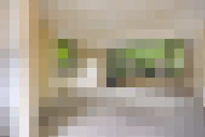 Okkersheul 44 Hoogvliet Rotterdam thumbnail 10