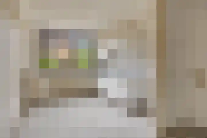 Okkersheul 44 Hoogvliet Rotterdam thumbnail 11