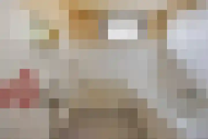 Okkersheul 44 Hoogvliet Rotterdam thumbnail 17