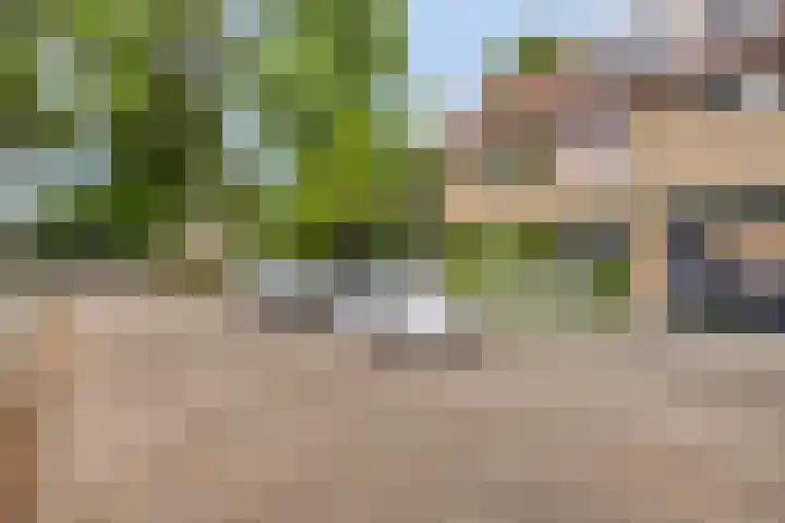 Okkersheul 44 Hoogvliet Rotterdam thumbnail 4
