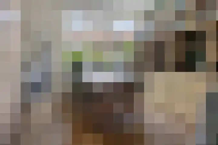 Okmastraat 7 Kampen thumbnail 16