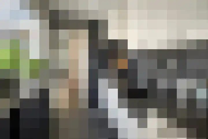 Okmastraat 7 Kampen thumbnail 19