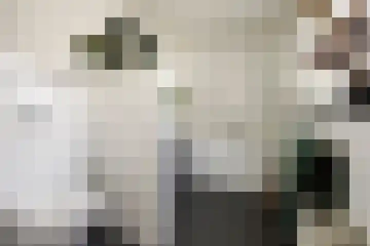 Okmastraat 7 Kampen thumbnail 21