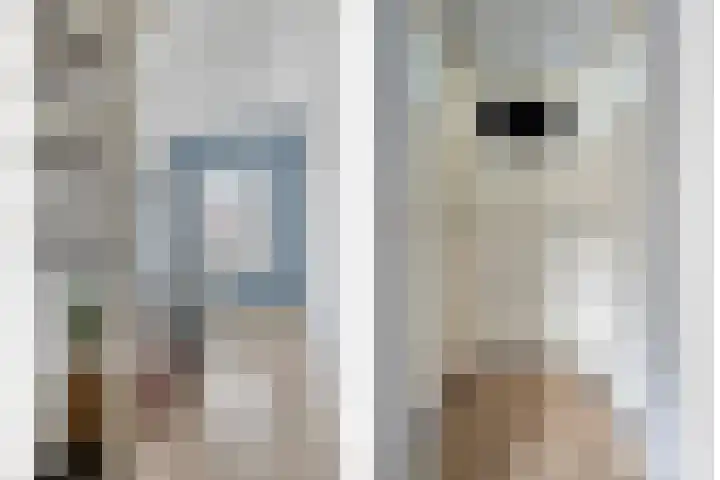Okmastraat 7 Kampen thumbnail 24