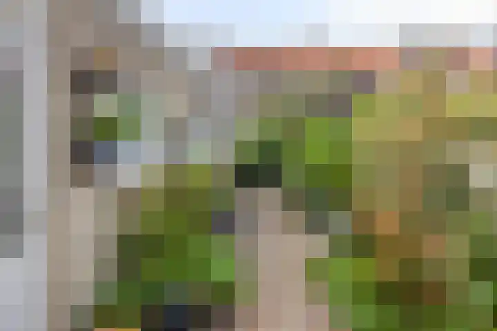 Okmastraat 7 Kampen thumbnail 31
