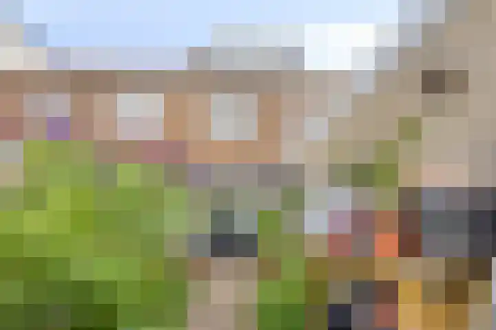 Okmastraat 7 Kampen thumbnail 32