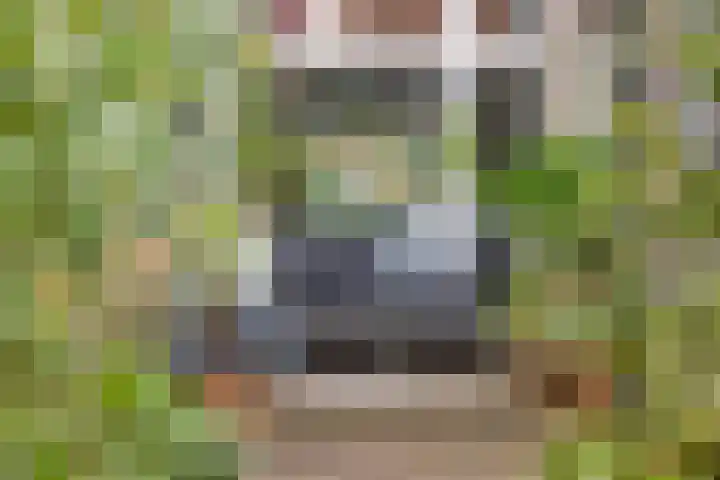 Okmastraat 7 Kampen thumbnail 34