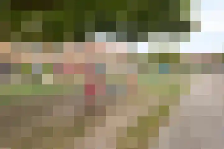 Okmastraat 7 Kampen thumbnail 35