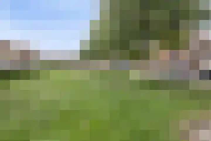 Okmastraat 7 Kampen thumbnail 36
