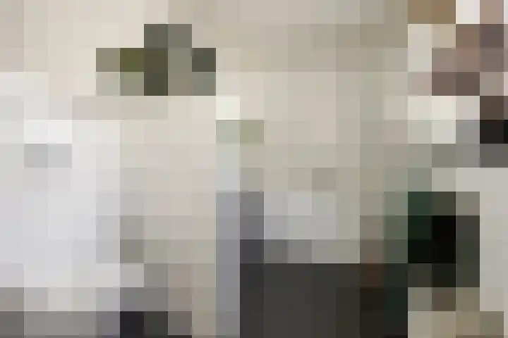 Okmastraat 7 Kampen thumbnail 5