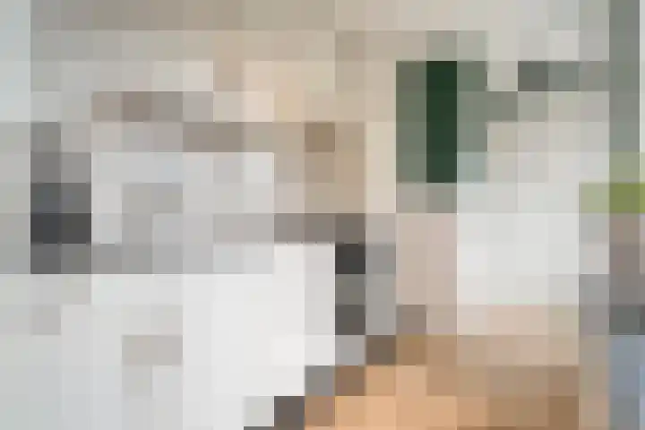 Okmastraat 8 Kampen thumbnail 11