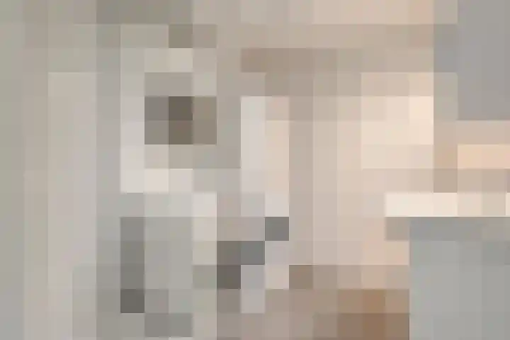 Okmastraat 8 Kampen thumbnail 14