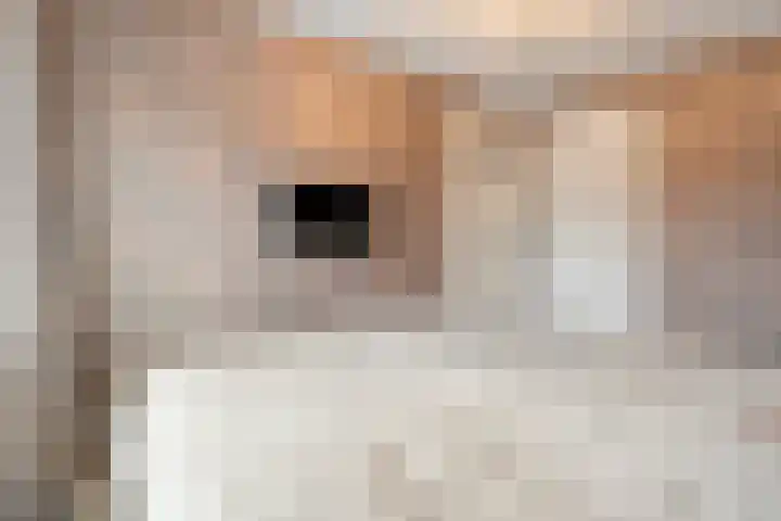 Okmastraat 8 Kampen thumbnail 19