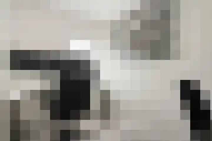Okmastraat 8 Kampen thumbnail 20