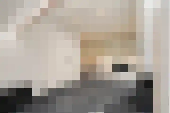 Okmastraat 8 Kampen thumbnail 27