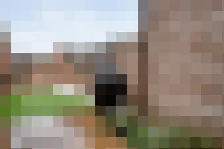 Okmastraat 8 Kampen thumbnail 29