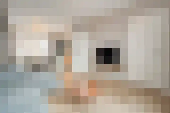 Okmastraat 8 Kampen thumbnail 4