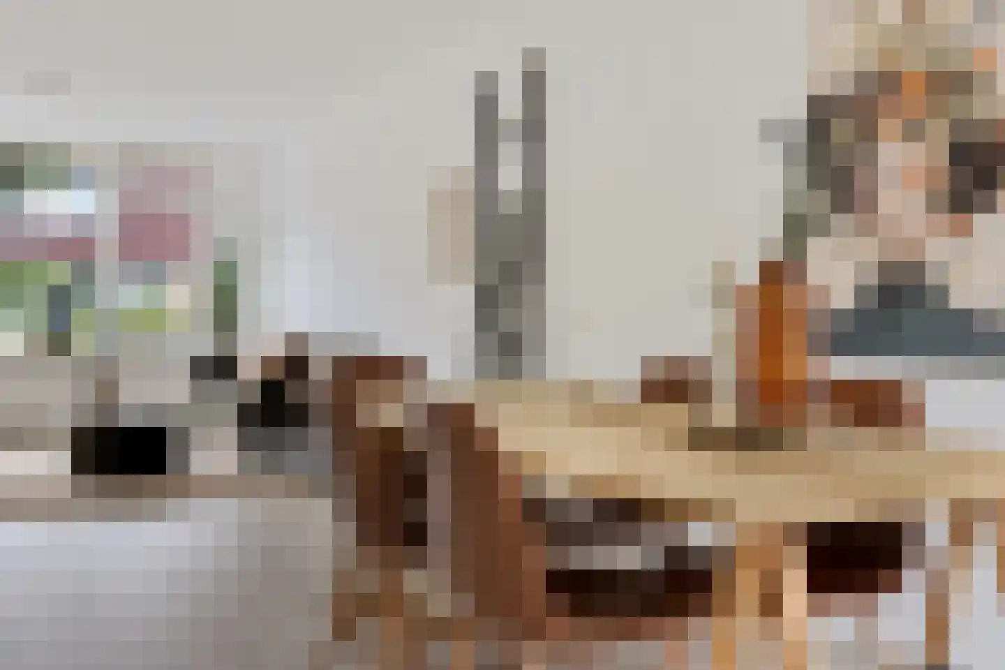 Oksewei 21 Joure thumbnail 12