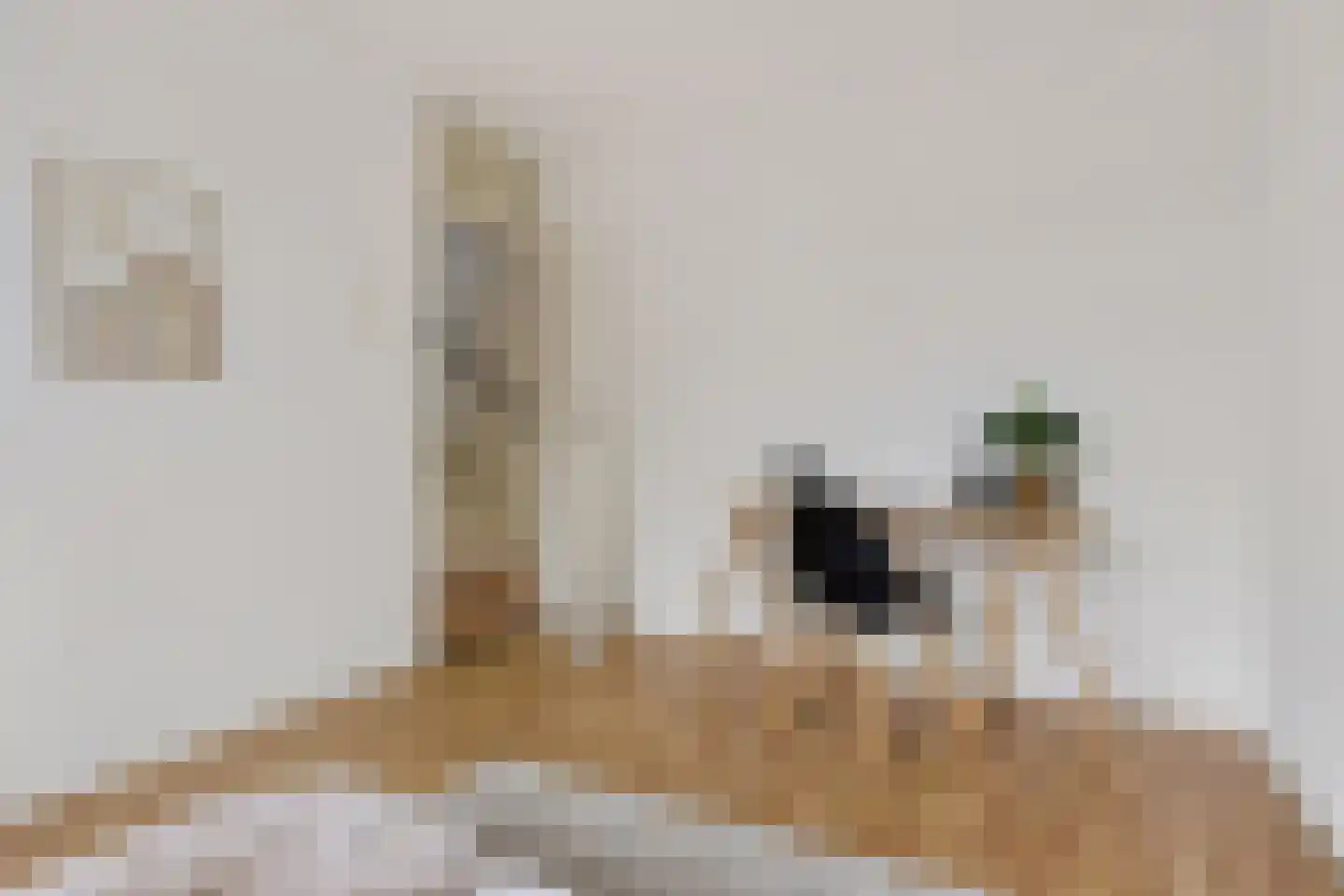 Oksewei 21 Joure thumbnail 27