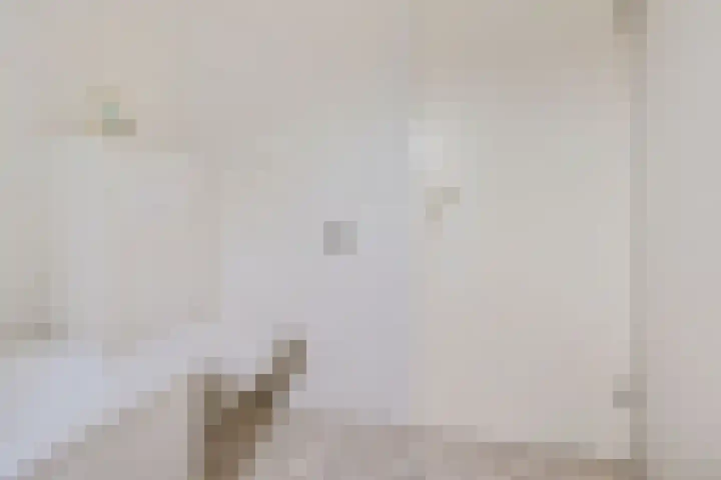 Oksewei 21 Joure thumbnail 29