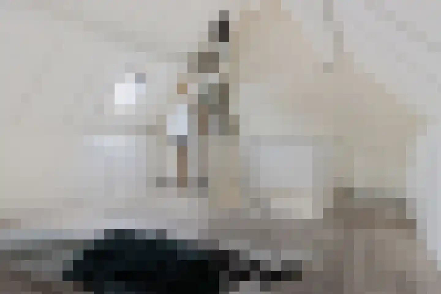 Oksewei 21 Joure thumbnail 33