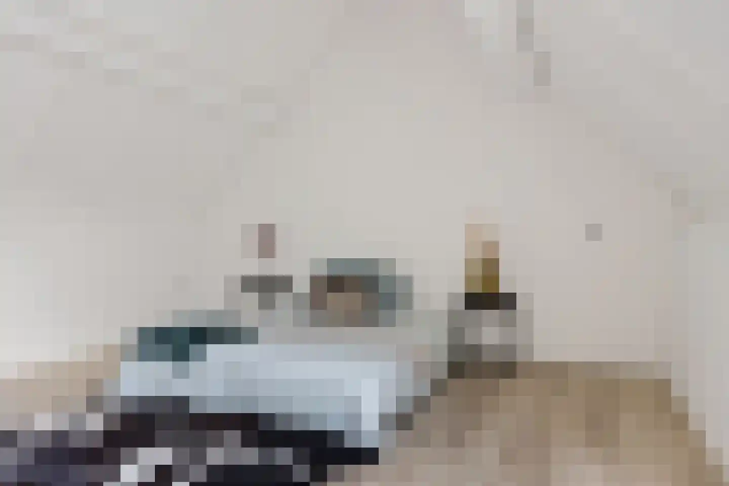 Oksewei 21 Joure thumbnail 34