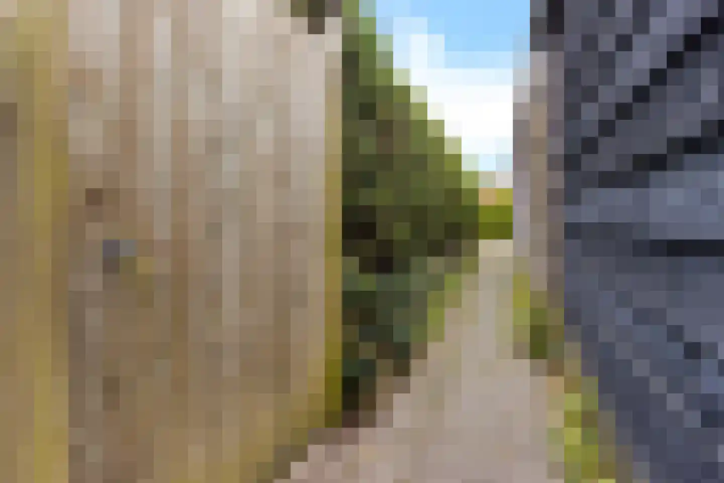 Oksewei 21 Joure thumbnail 40