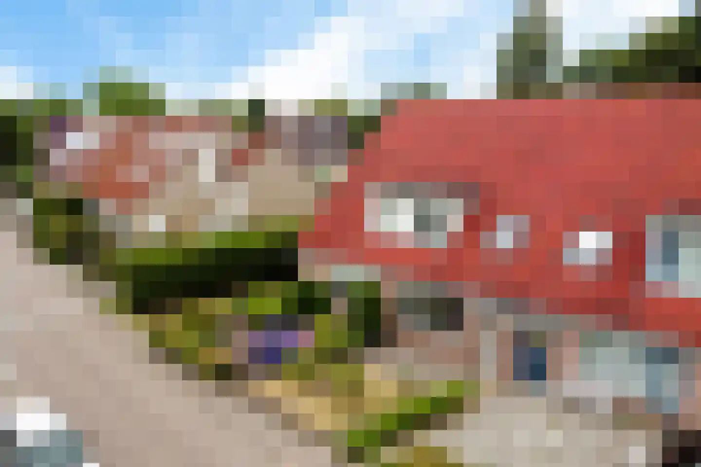 Oksewei 21 Joure thumbnail 41
