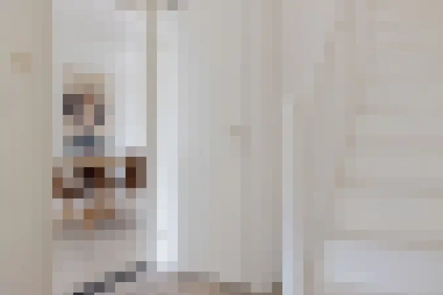 Oksewei 21 Joure thumbnail 8