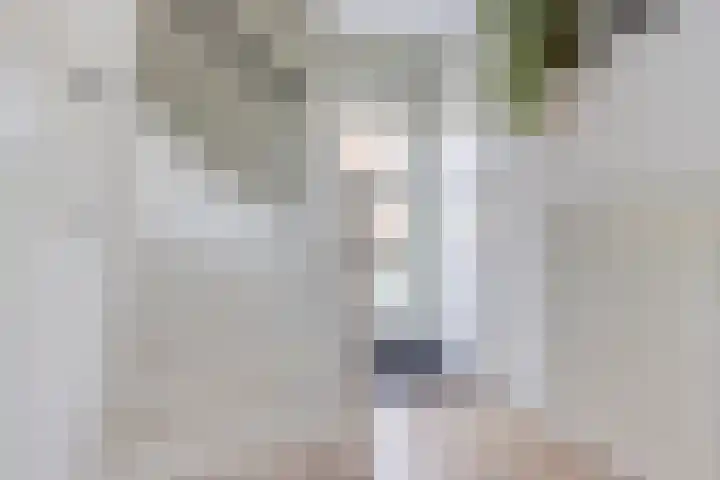 Oksewei 85 Joure thumbnail 14