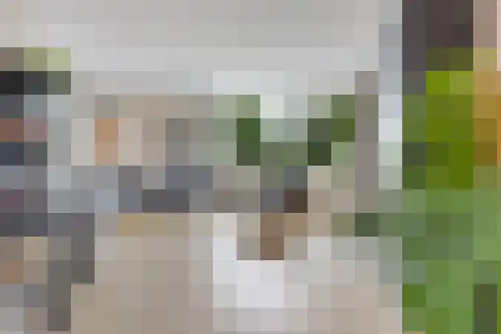 Oksewei 85 Joure thumbnail 16