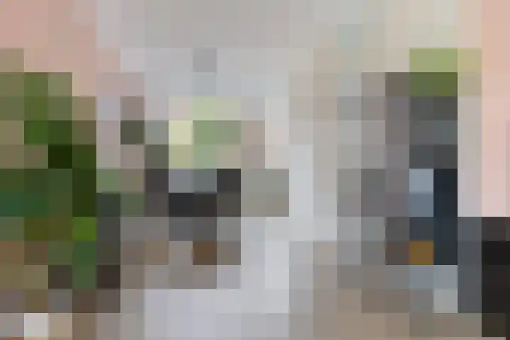 Oksewei 85 Joure thumbnail 19