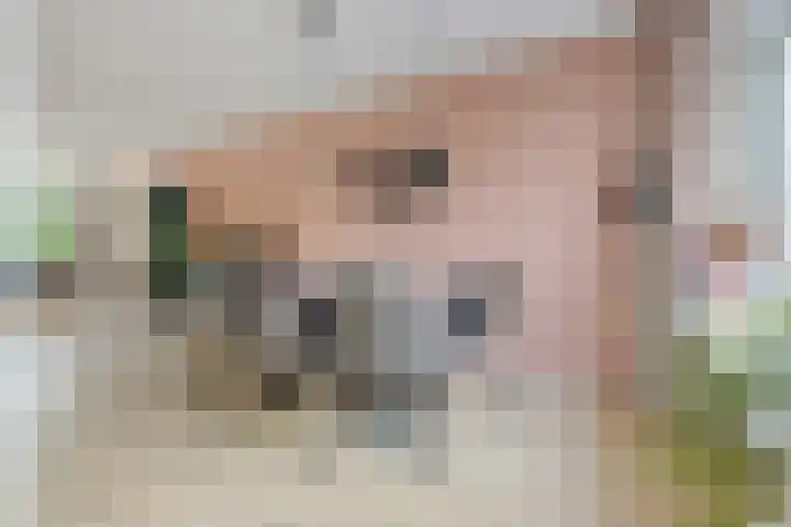 Oksewei 85 Joure thumbnail 21