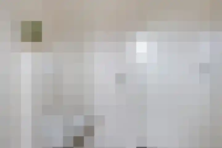 Oksewei 85 Joure thumbnail 28