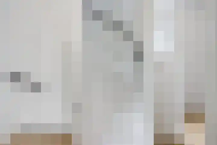 Oksewei 85 Joure thumbnail 39
