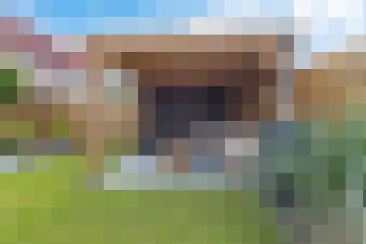 Oksewei 85 Joure thumbnail 44