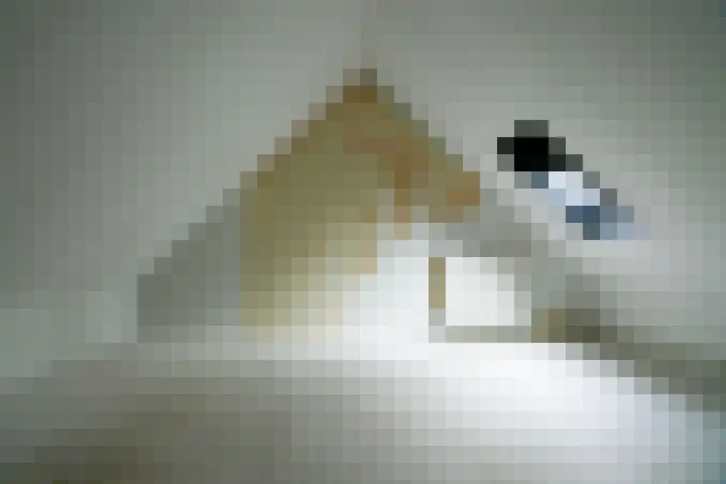 Oksholm 127 Hoofddorp thumbnail 19