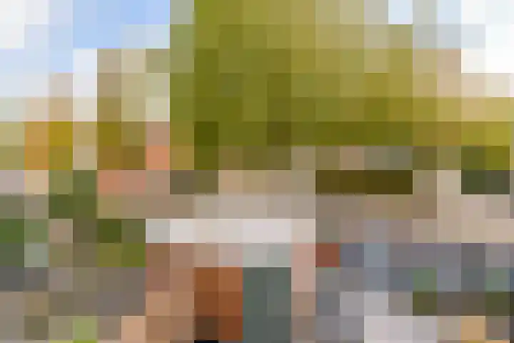 Oksholm 209 Hoofddorp thumbnail 10