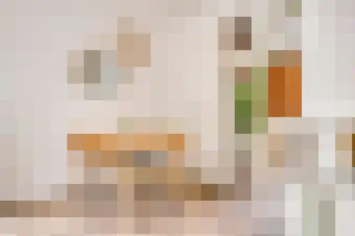 Oksholm 209 Hoofddorp thumbnail 11