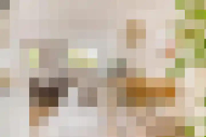 Oksholm 209 Hoofddorp thumbnail 13