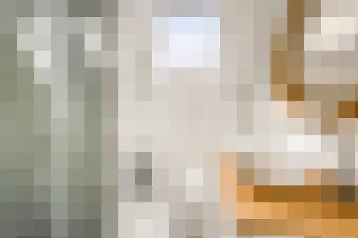 Oksholm 209 Hoofddorp thumbnail 24