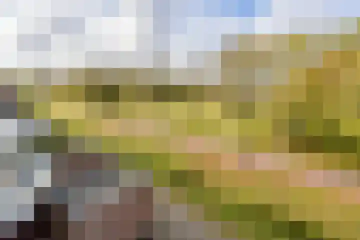 Oksholm 209 Hoofddorp thumbnail 26