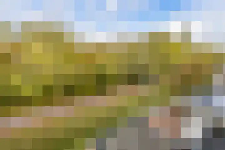Oksholm 209 Hoofddorp thumbnail 27