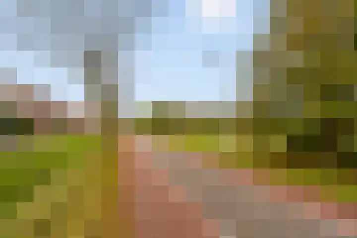 Oksholm 209 Hoofddorp thumbnail 30