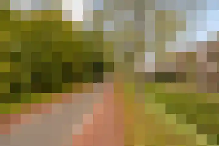 Oksholm 209 Hoofddorp thumbnail 31