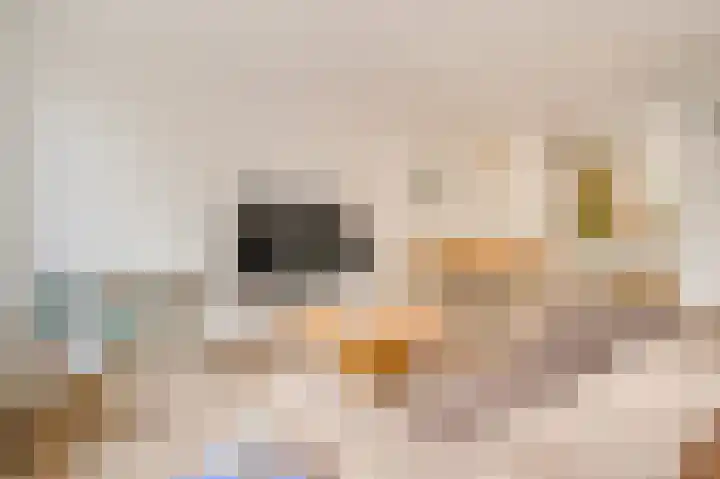 Oksholm 209 Hoofddorp thumbnail 4