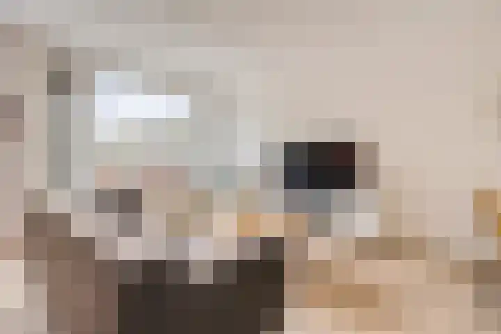 Oksholm 209 Hoofddorp thumbnail 5